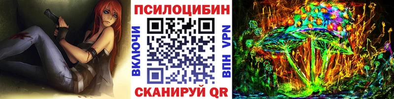 Псилоцибиновые грибы Psilocybe  площадка наркотические препараты  Ногинск  где купить  